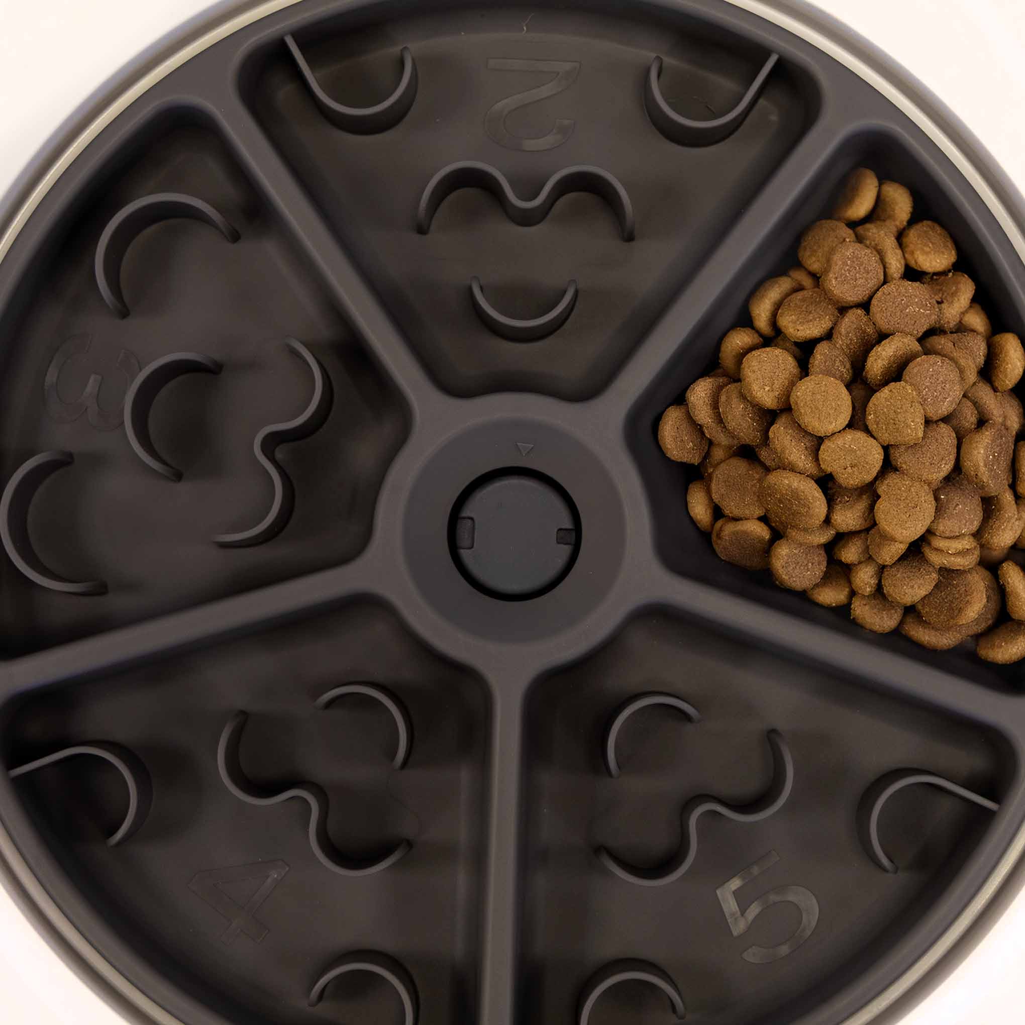 5 Meal Automatic Pet Feeder by Petplanet - Image 3