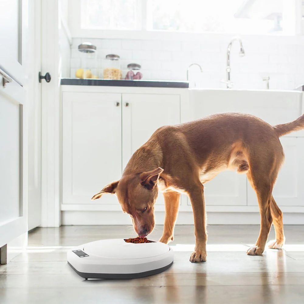 5 Meal Automatic Pet Feeder by Petplanet - Image 6