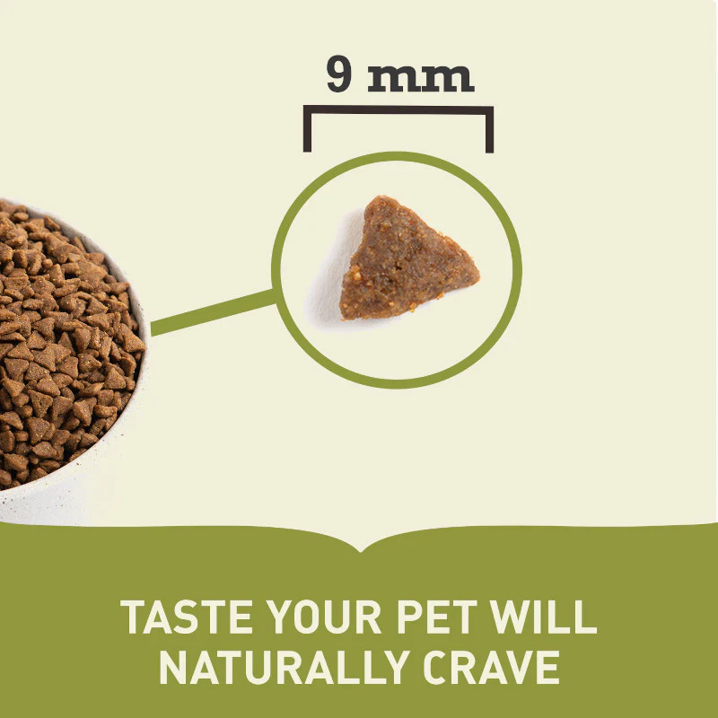 Acana Bountiful Catch Dry Cat Food - Image 6
