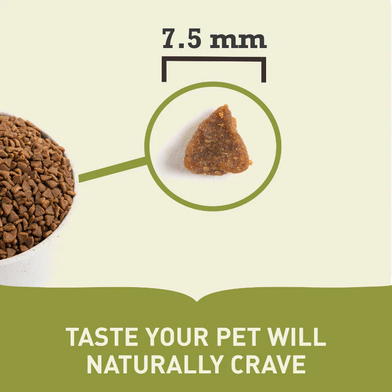 Acana First Feast Kitten Dry Cat Food - Image 4