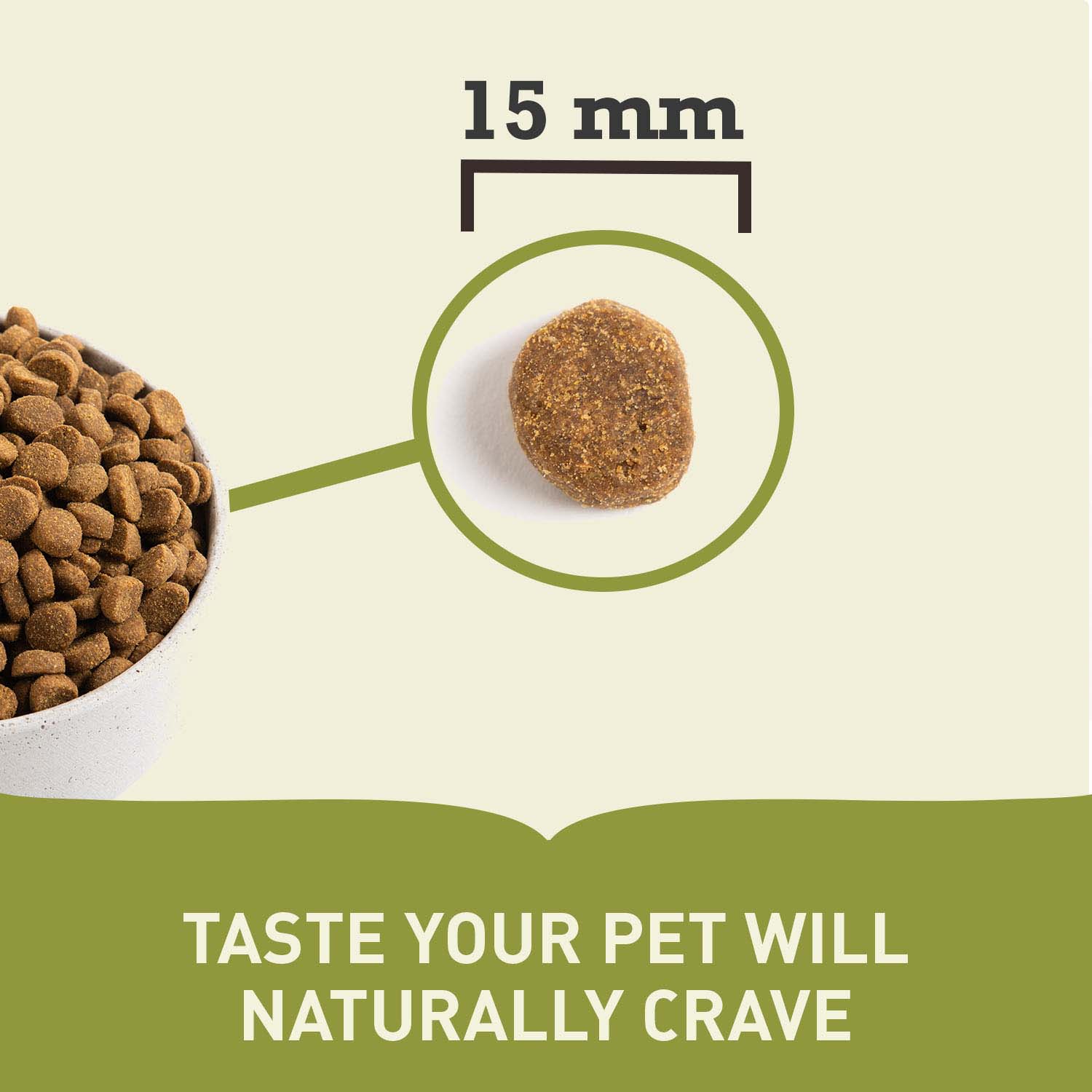 Acana Grain Free Large Breed Puppy Dry Dog Food - Image 4