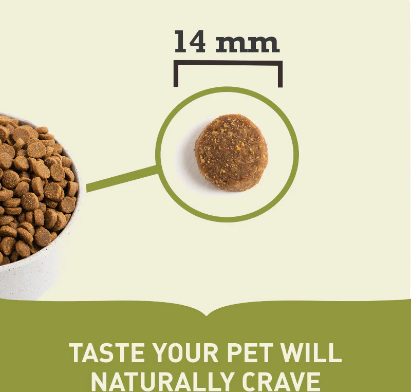 Acana Grain Free Light & Fit Adult Dry Dog Food - Image 8