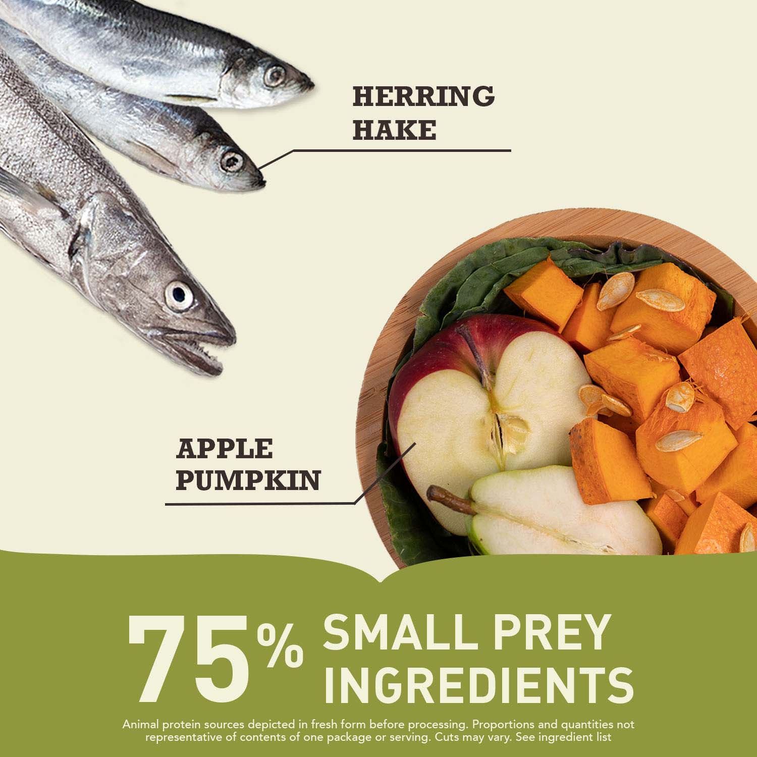 Acana Grain Free Pacifica Dry Cat Food - Image 6