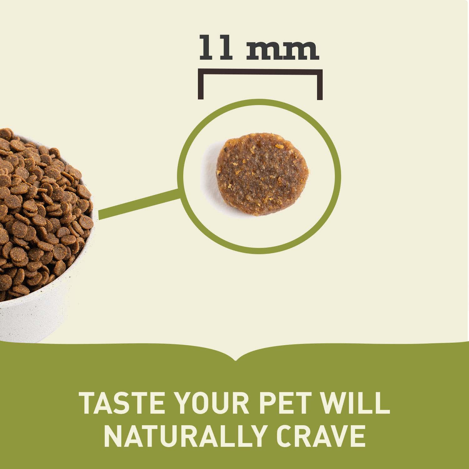 Acana Grain Free Puppy Dry Dog Food - Image 8