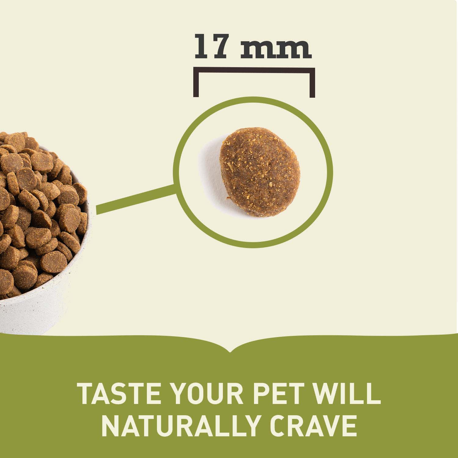 Acana Heritage Grain Free Large Breed Adult Dry Dog Food - Image 4