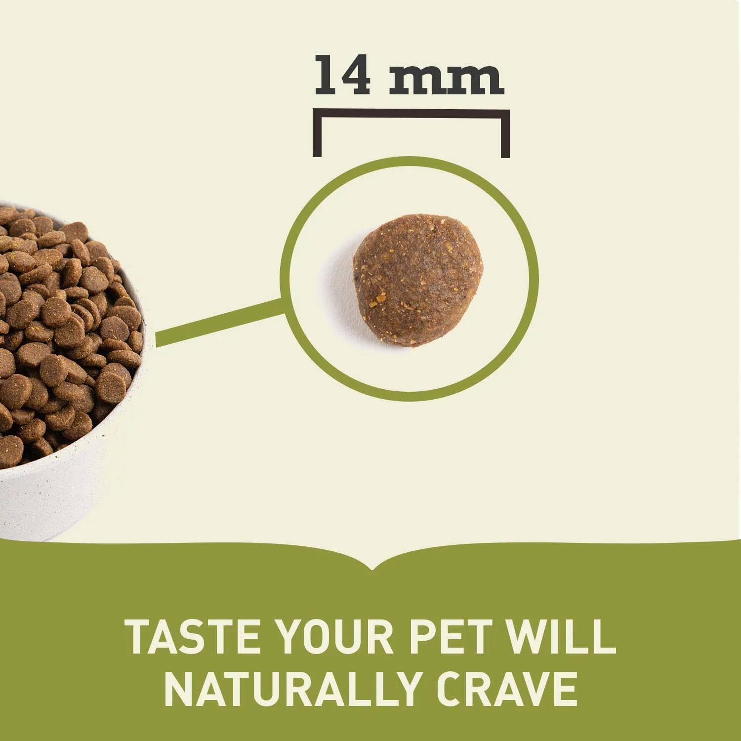 Acana Highest Protein Grasslands Grain Free Adult Dry Dog Food - Image 7