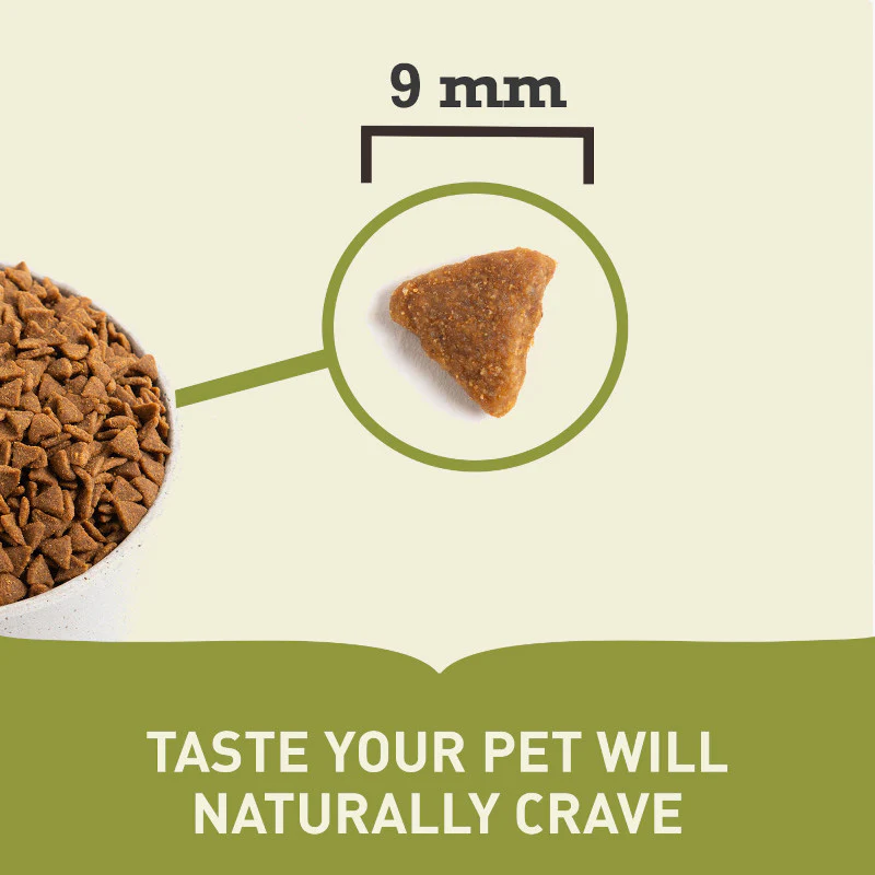 Acana Indoor Entrée Dry Cat Food - Image 6