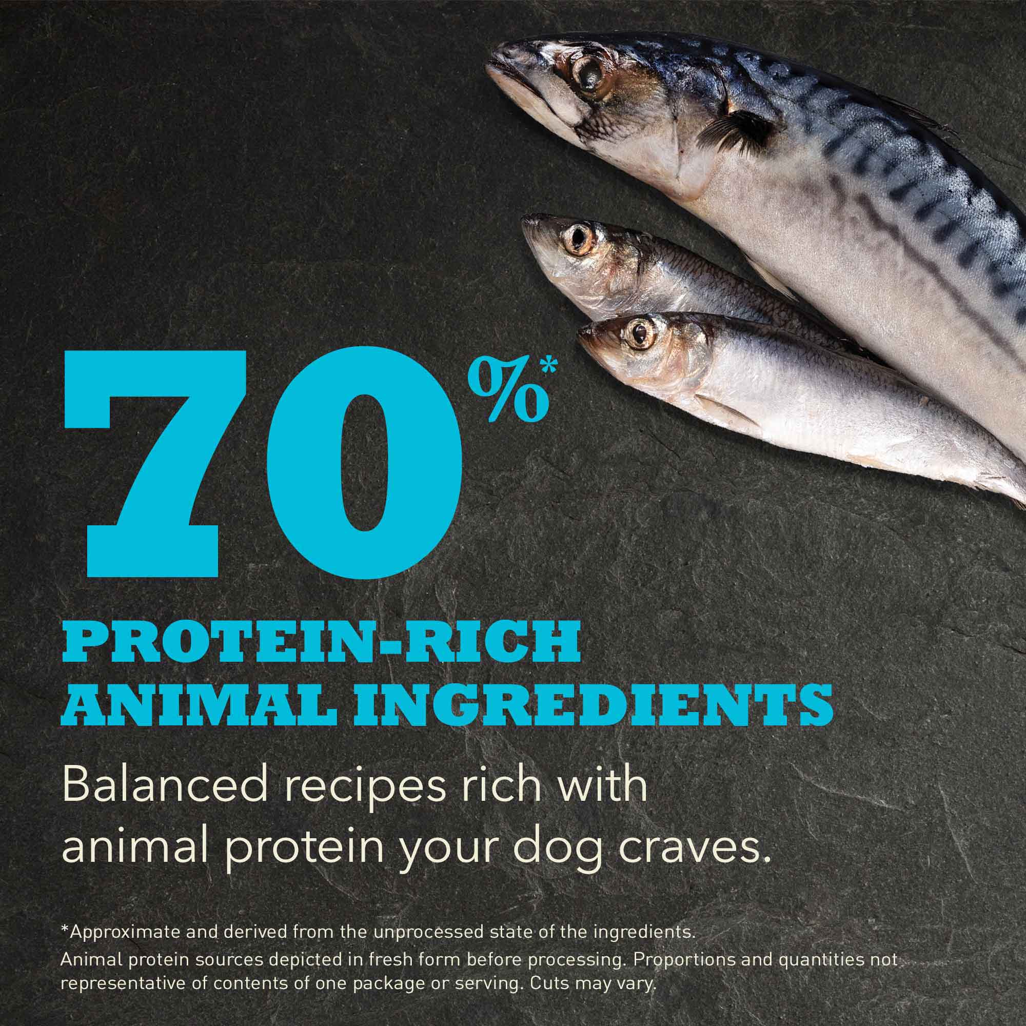 Acana Highest Protein Pacifica Grain Free Adult Dry Dog Food - Image 6