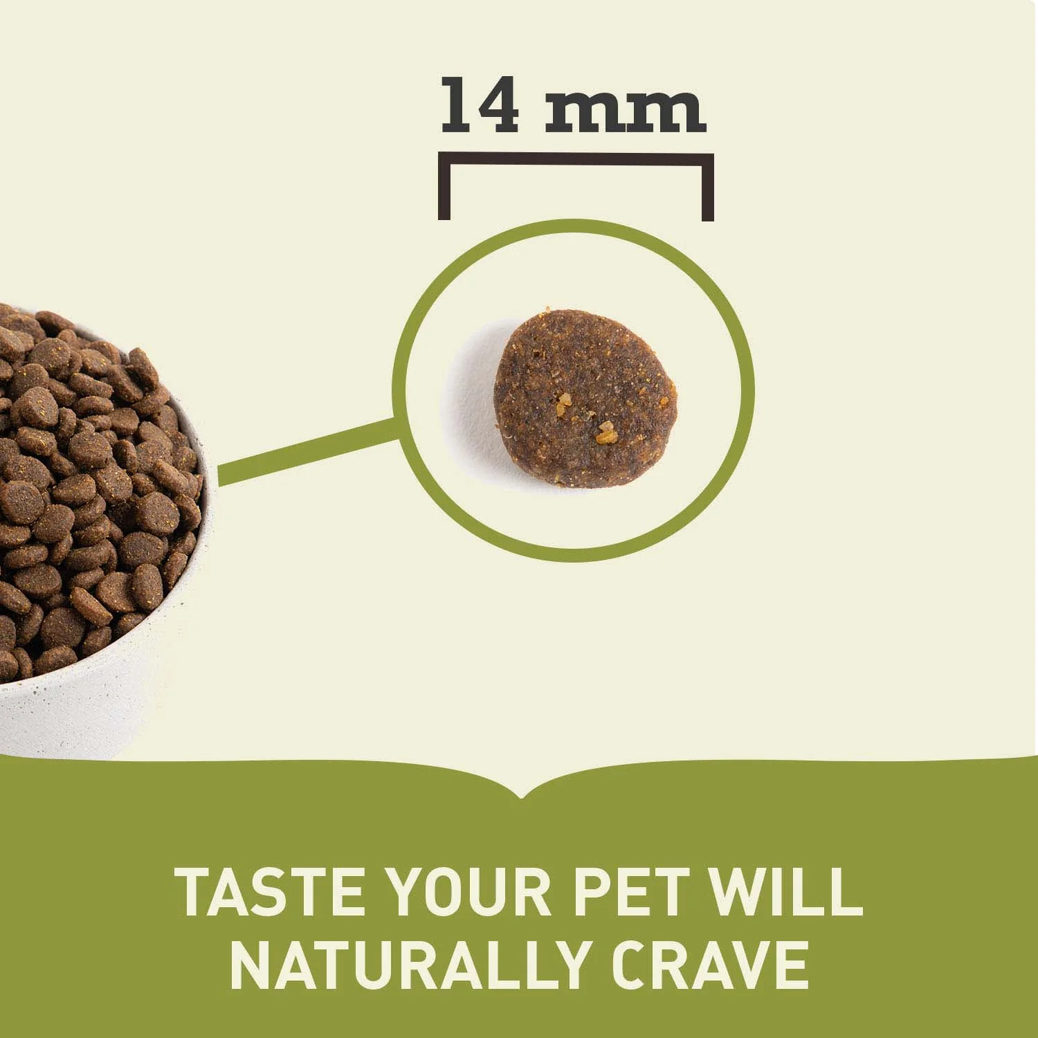 Acana Highest Protein Ranchlands Grain Free Adult Dry Dog Food - Image 6