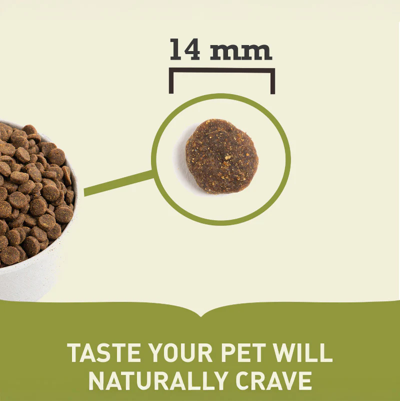 Acana Singles Grass Fed Lamb Adult Dry Dog Food - Image 7