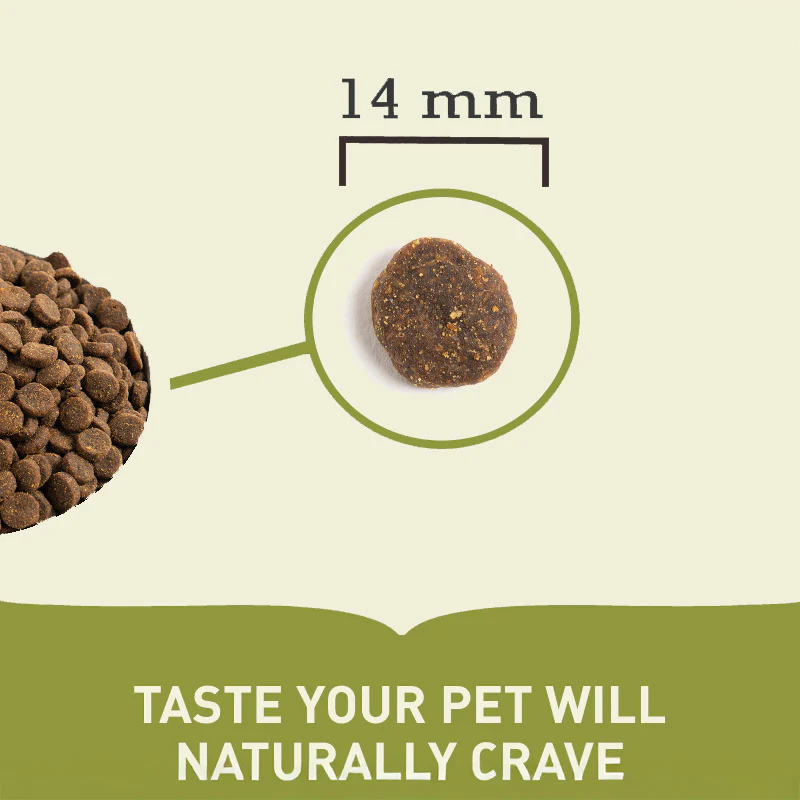 Acana Singles Yorkshire Pork Adult Grain Free Dry Dog Food - Image 7
