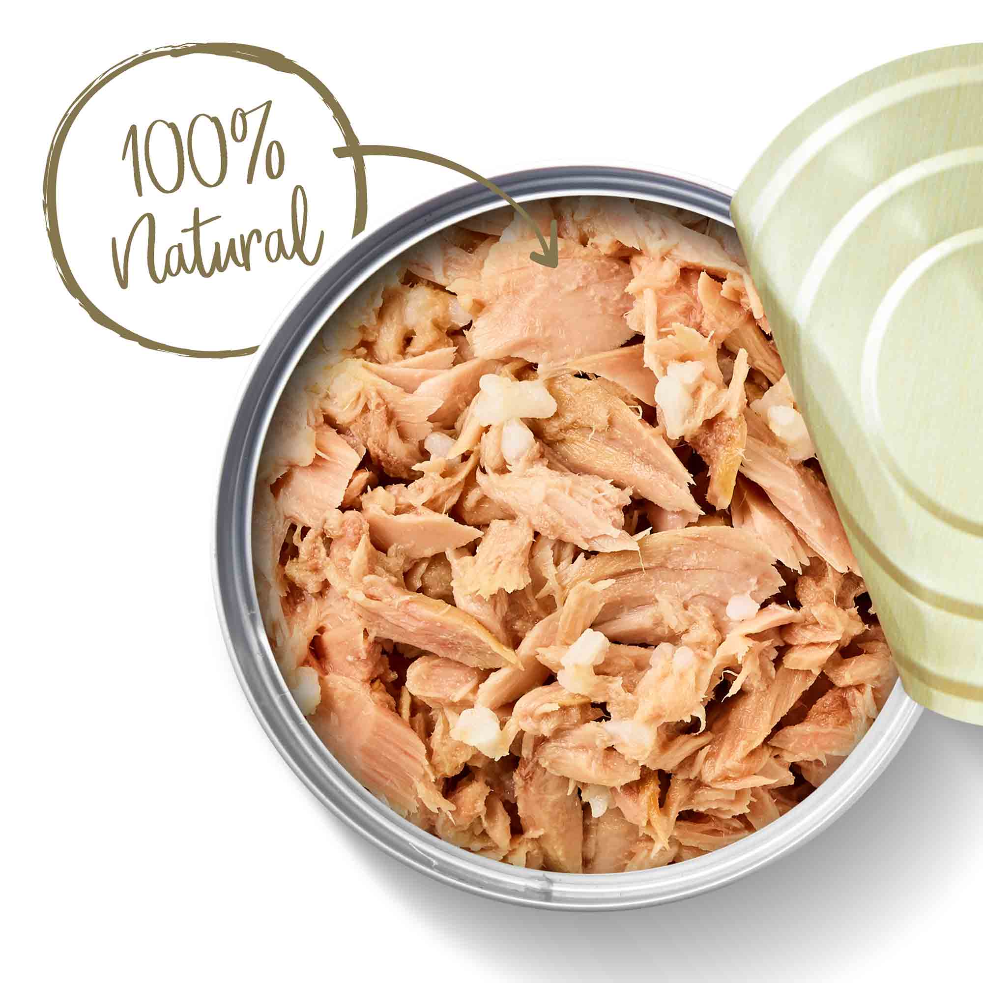 Applaws Adult Wet Cat Food in Broth - Tuna Fillet - 24x70g Cans - Image 7