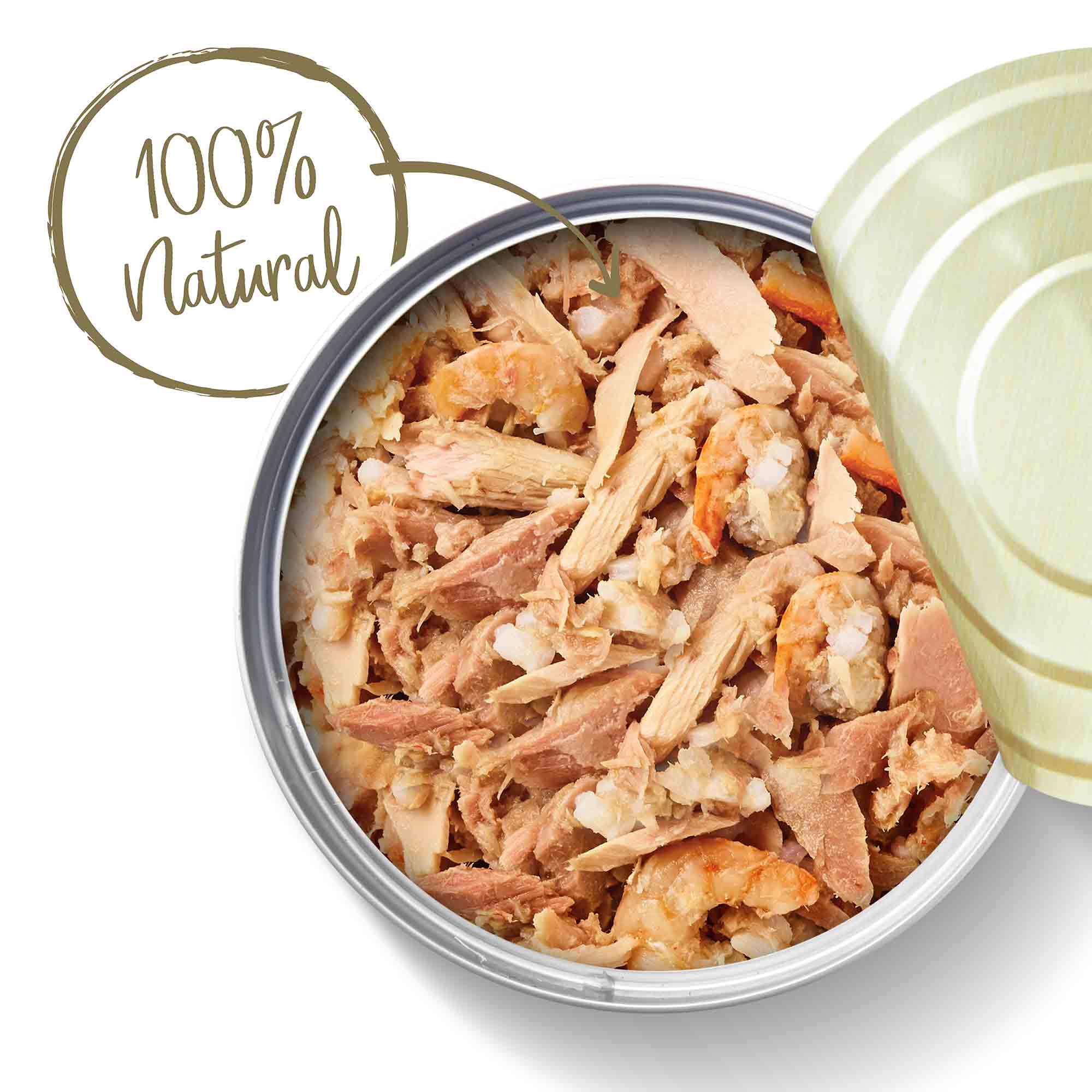 Applaws Adult Wet Cat Food in Broth - Tuna Fillet & Prawn - 24x70g Cans - Image 5