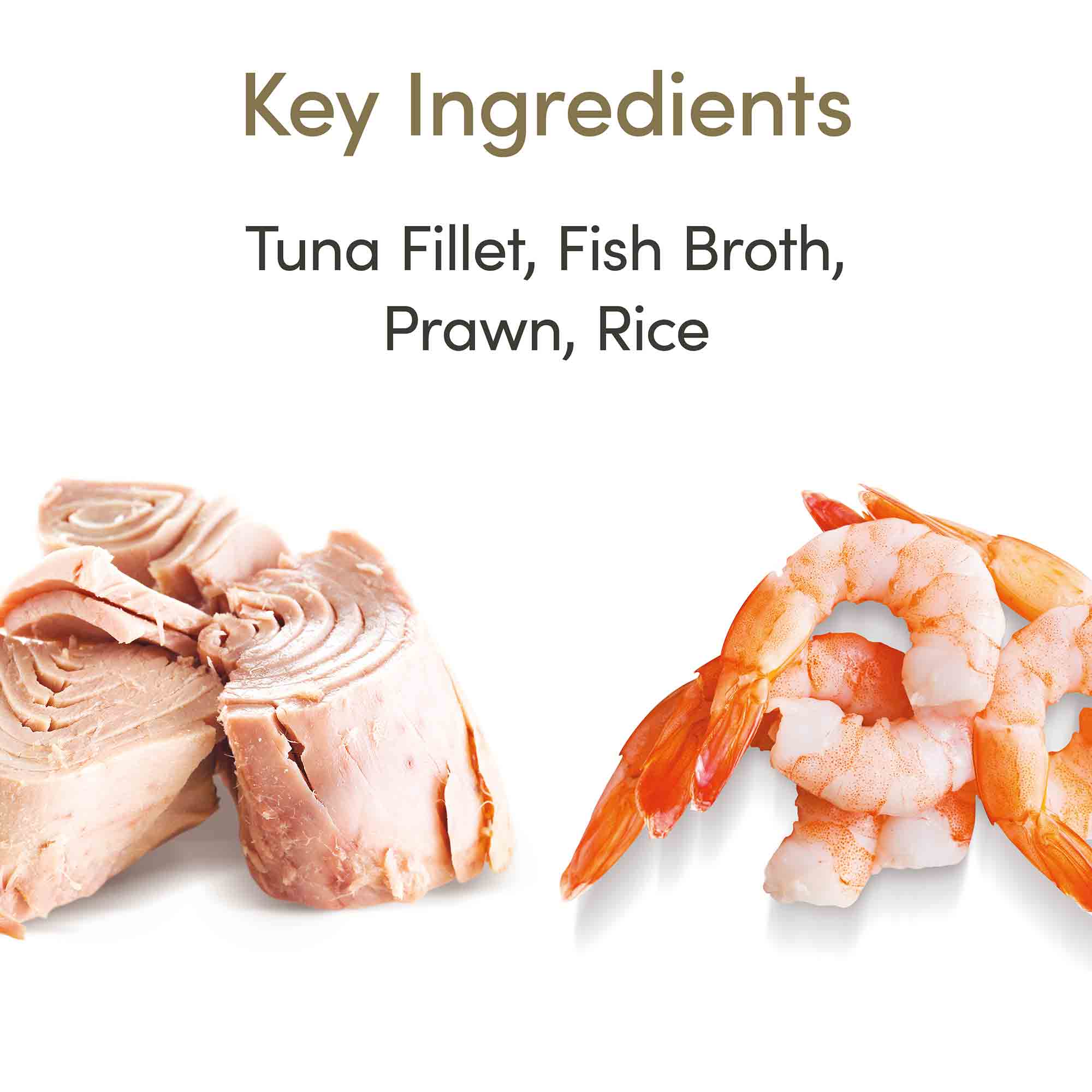 Applaws Adult Wet Cat Food in Broth - Tuna Fillet & Prawn - 24x70g Cans - Image 6