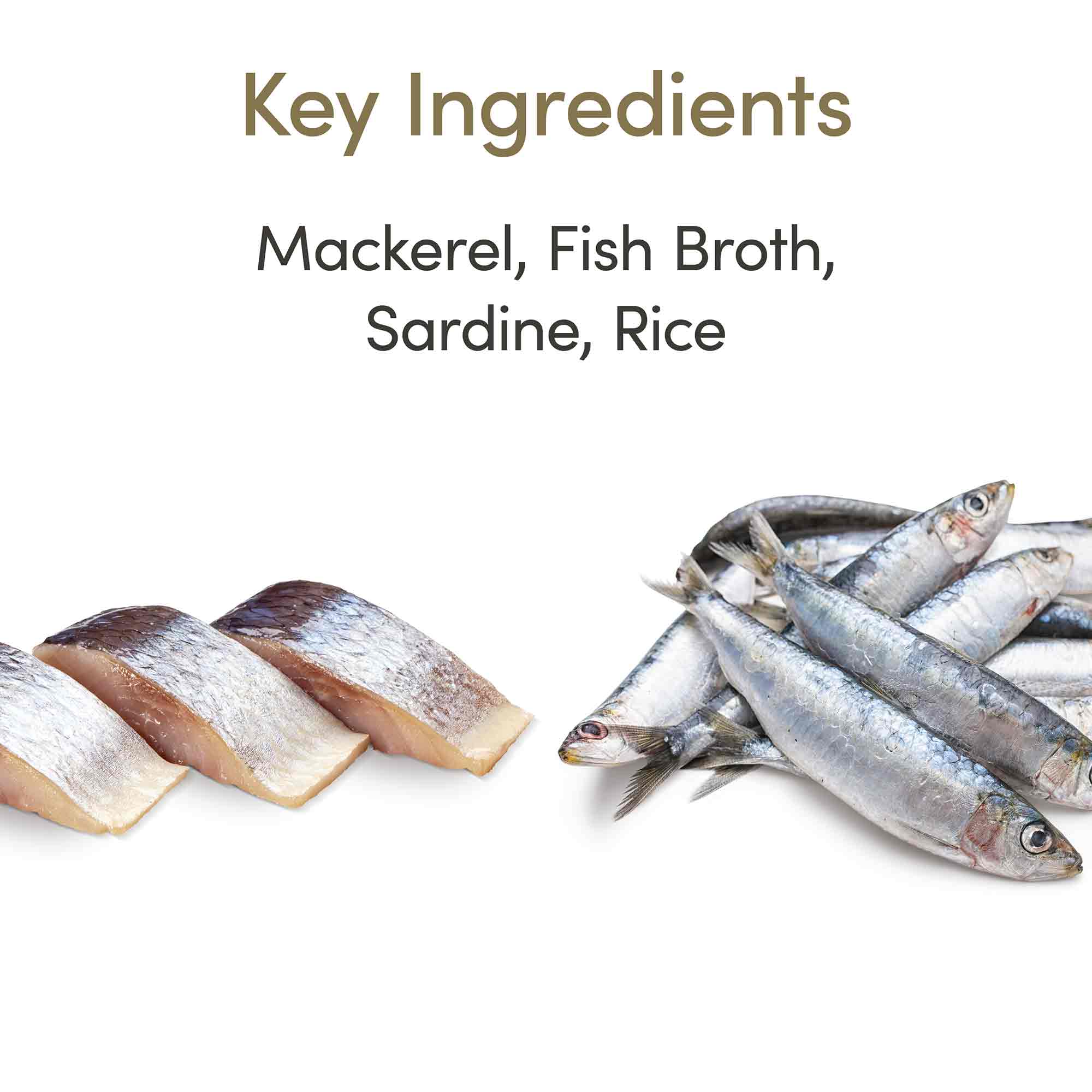Applaws Adult Wet Cat Food Mackerel with Sardine in Broth - Tins 24x70g - Image 5