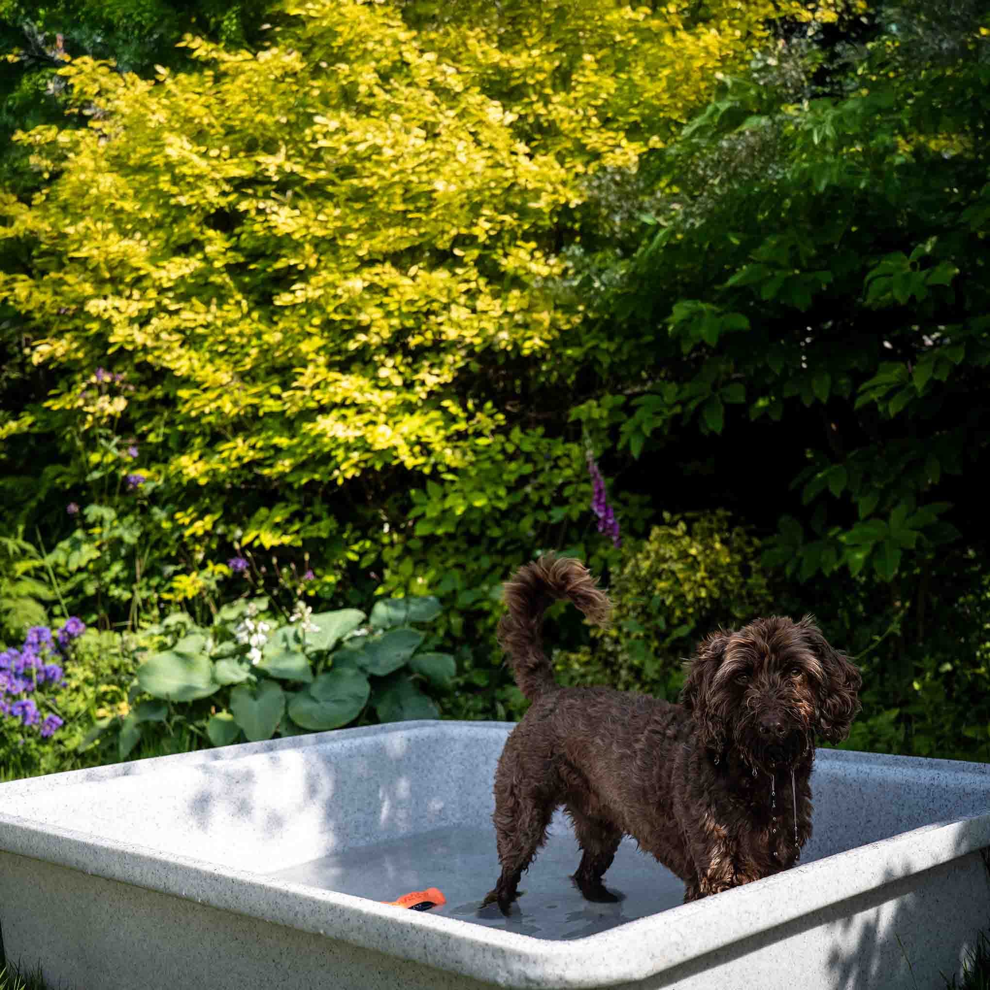 Barkshire Anti-Slip Splash Pool - Capacity 360L - Image 2
