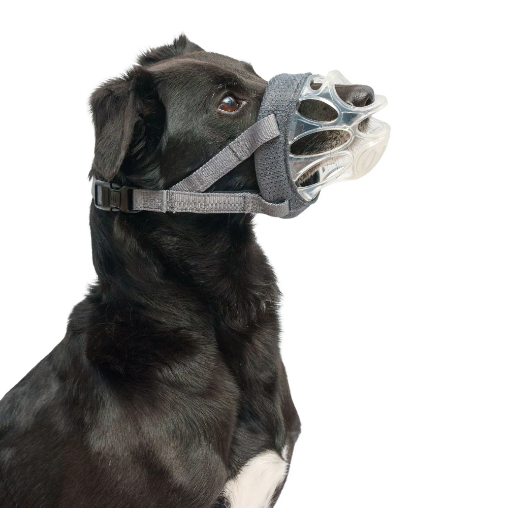 Baskerville INVISA Dog Muzzle - Size 2