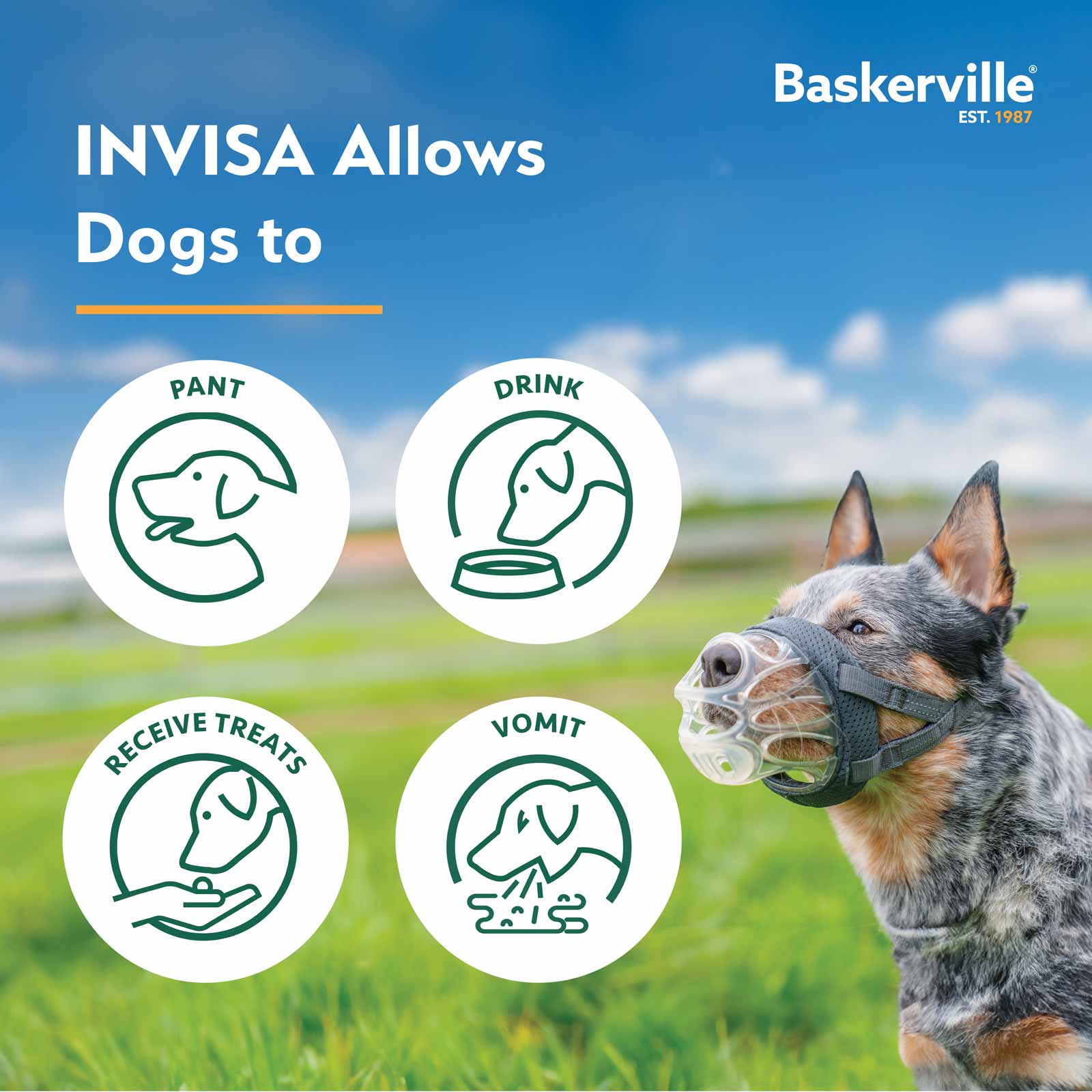 Baskerville INVISA Dog Muzzle - Size 2 - Image 3