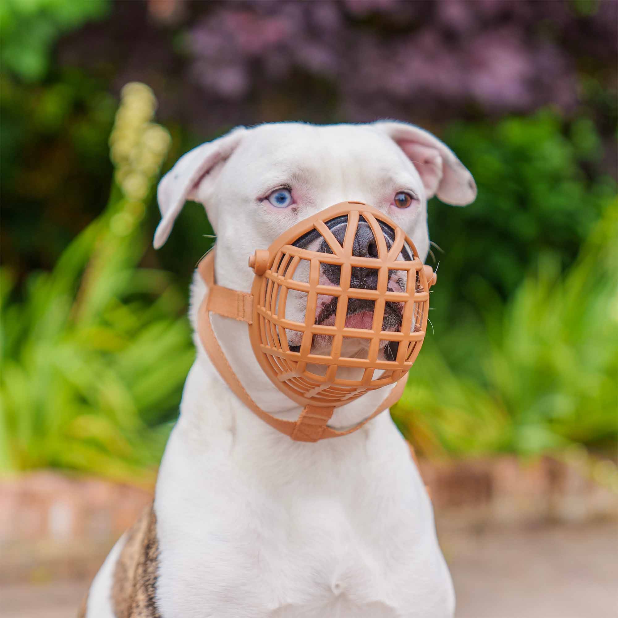 Baskerville Wide Fit Dog Muzzle - Size 2