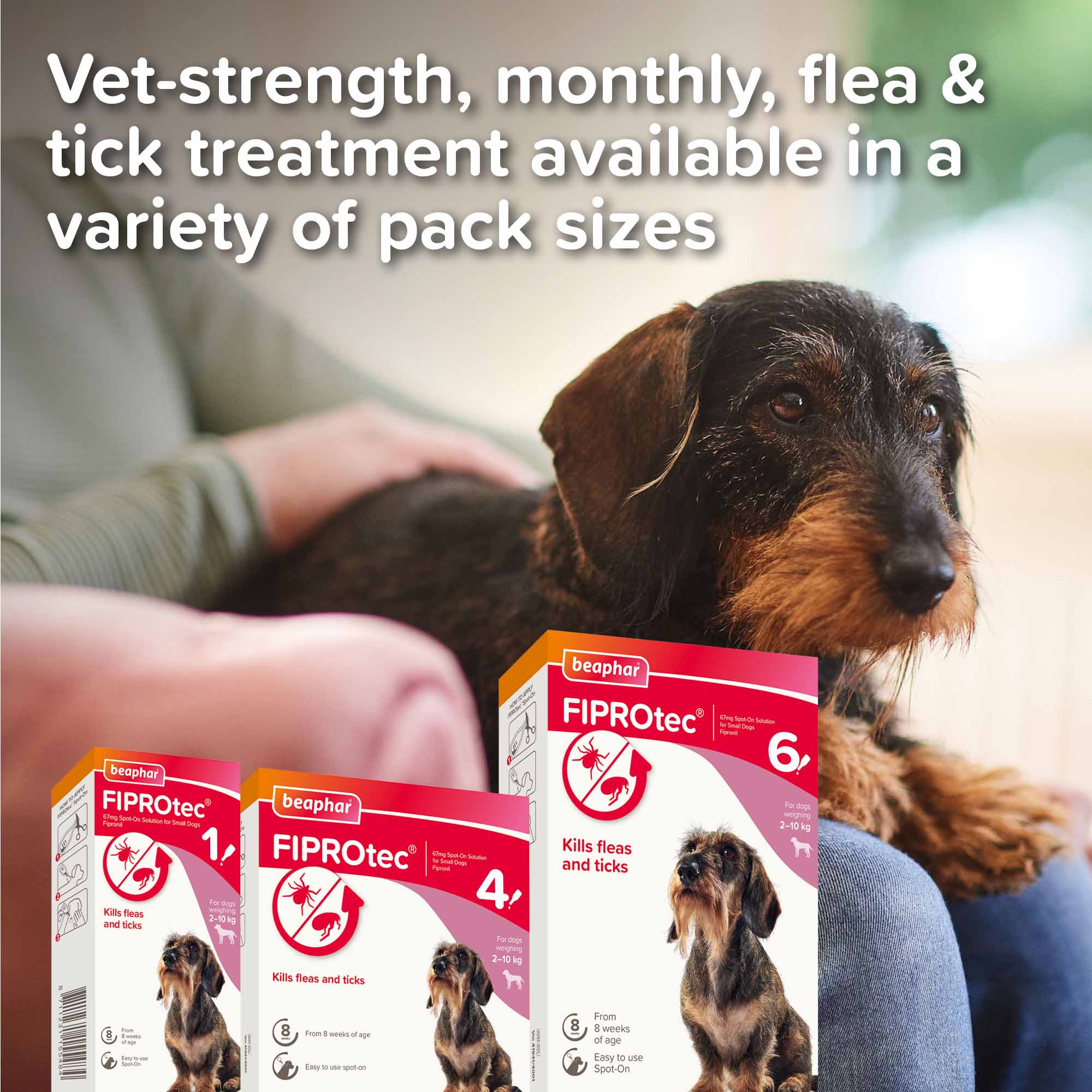 Beaphar FIPROtec Flea & Tick Spot on for Small Dogs - 4 pack - Image 7