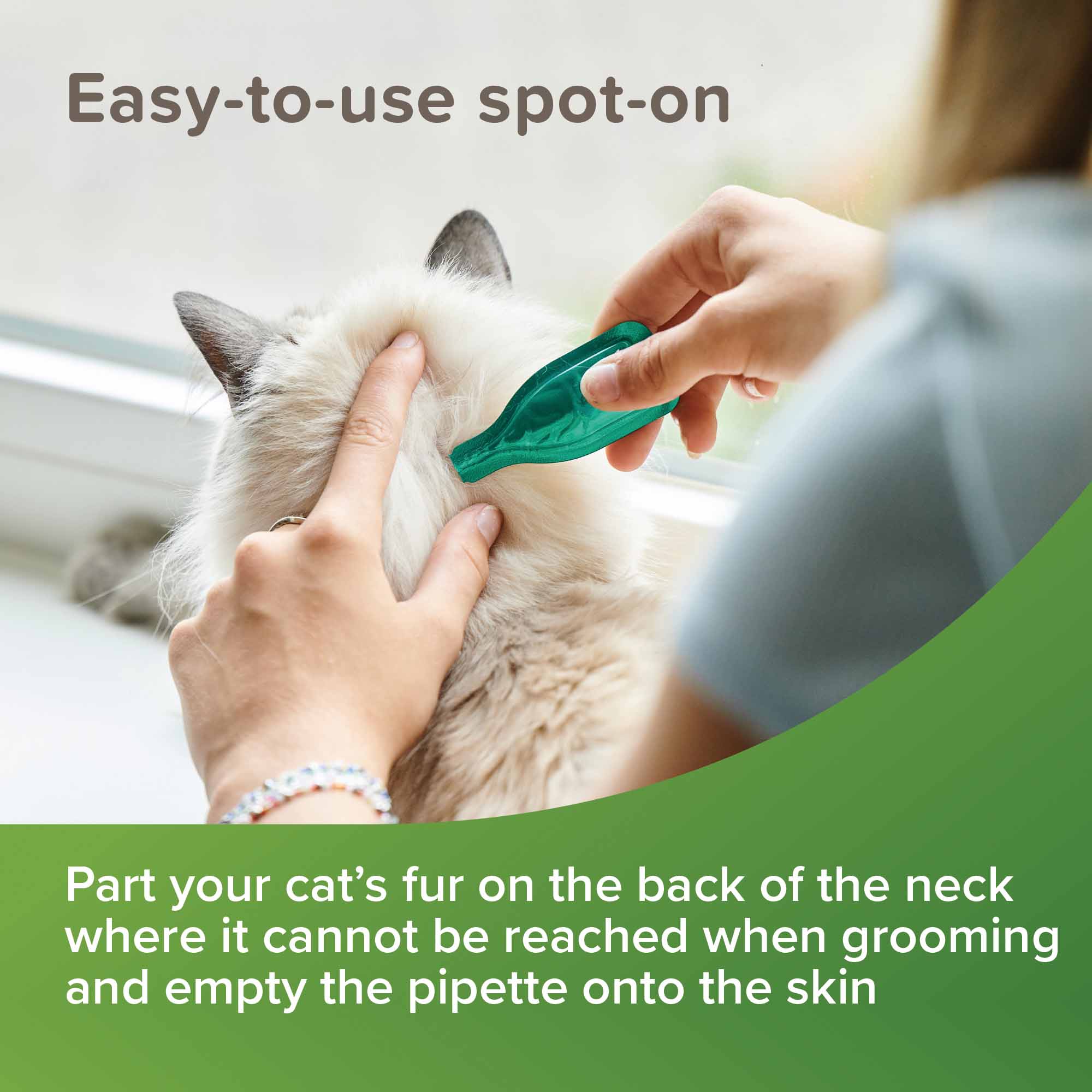 Beaphar VETOpure Flea Spot-On Repellent for Cats - 6x1ml Pipettes - Image 5