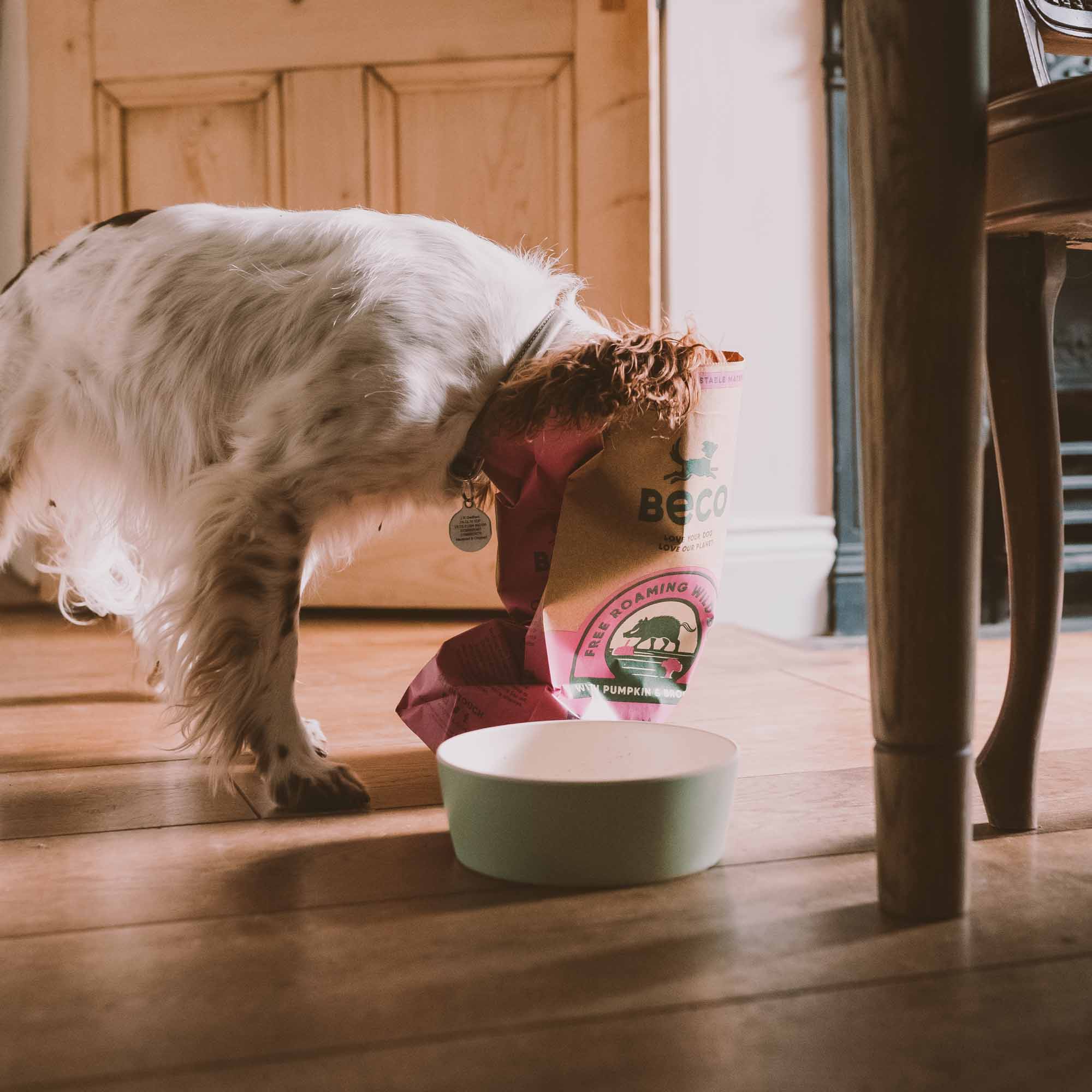 Beco Wild Boar Adult Dry Dog Food - Image 6