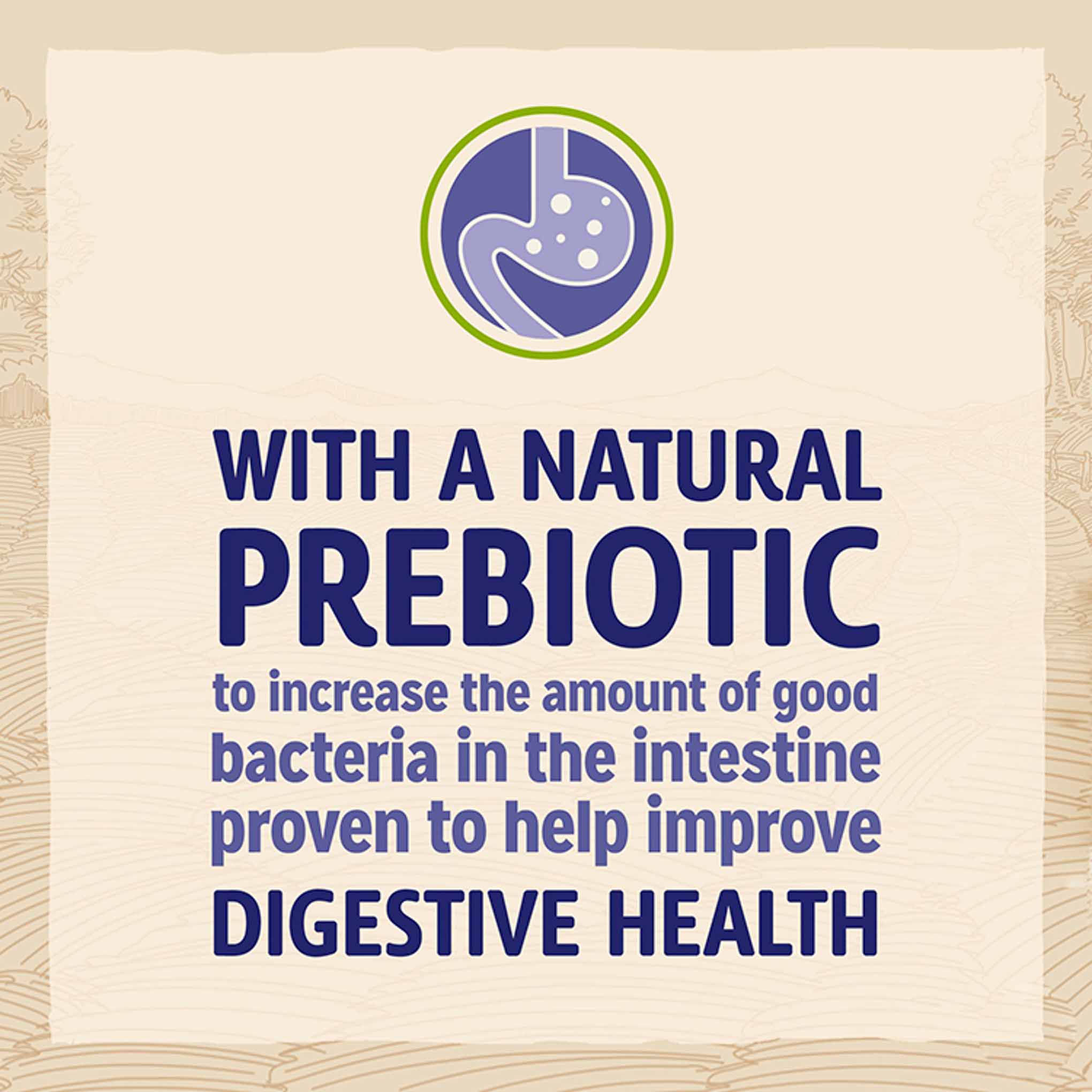 Beta Adult Sensitive Dry Dog Food - Salmon - Image 8