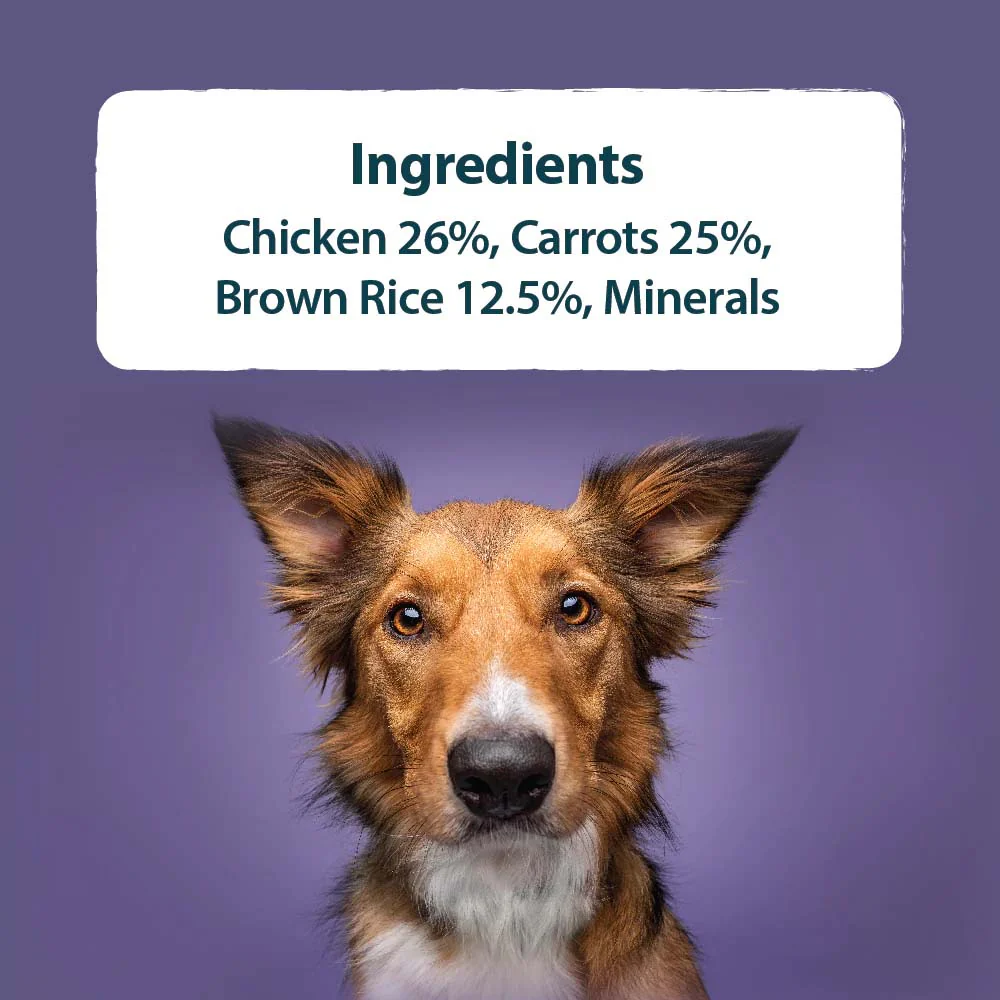Burns Adult/Senior Wet Dog Food - Chicken & Rice - 12x150g Trays - Image 3