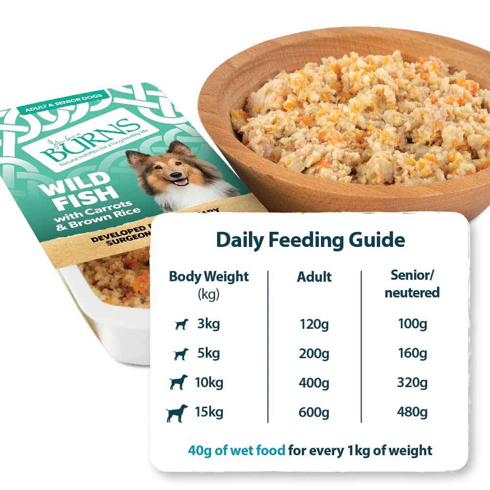 Burns Adult/Senior Wet Dog Food - Fish & Rice - 12x150g Trays - Image 3