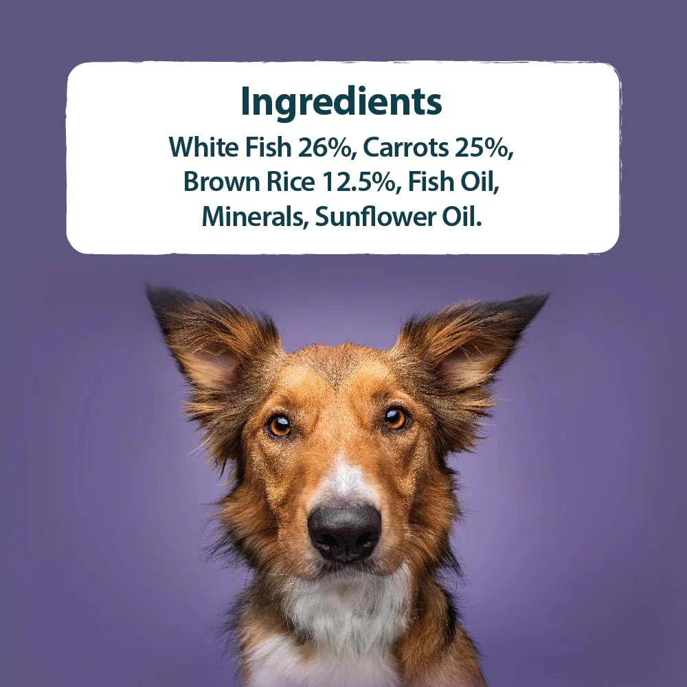 Burns Adult/Senior Wet Dog Food - Fish & Rice - 12x150g Trays - Image 5
