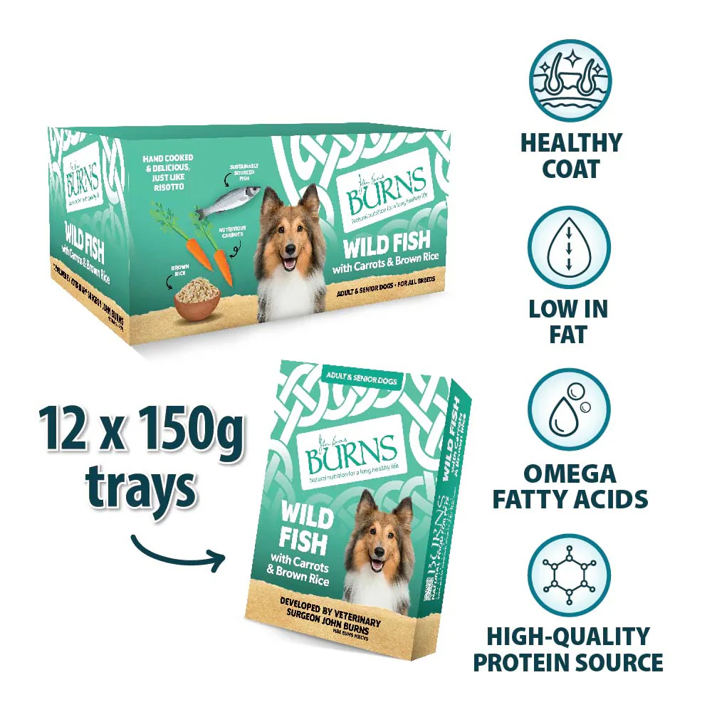 Burns Adult/Senior Wet Dog Food - Fish & Rice - 12x150g Trays - Image 6