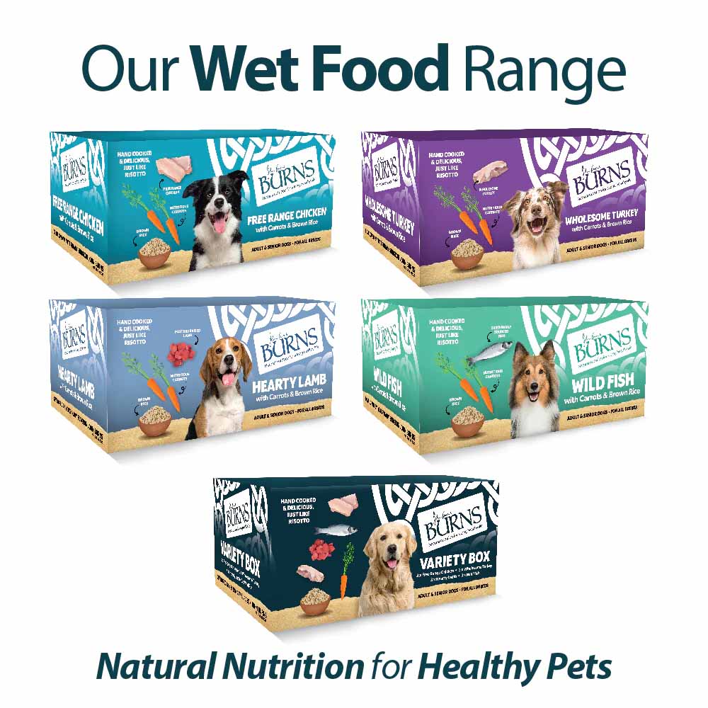 Burns Adult/Senior Wet Dog Food - Fish & Rice - 12x150g Trays - Image 7