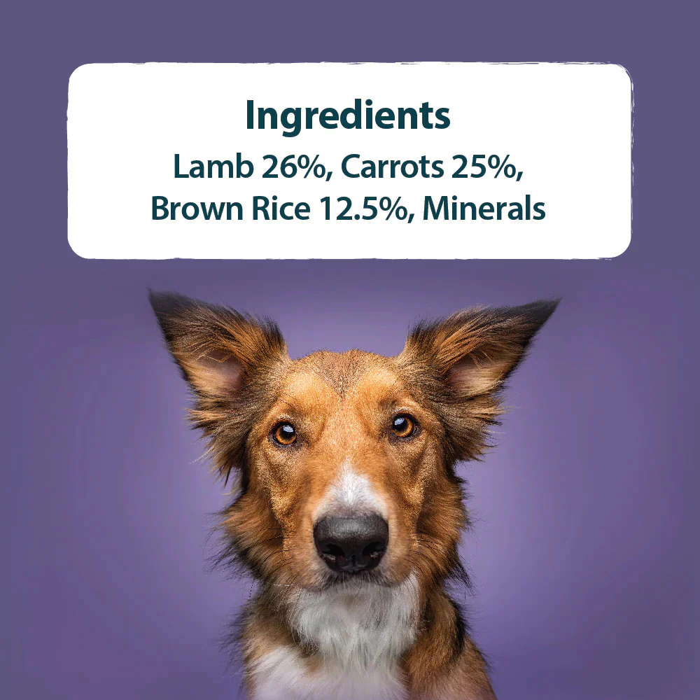 Burns Adult/Senior Wet Dog Food - Lamb & Rice - 12x150g Trays - Image 5