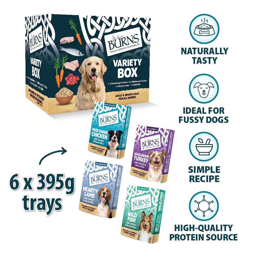 Burns Adult/Senior Wet Dog Food - Variety Box - 6x395g Trays - Image 4