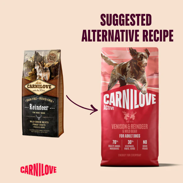 Carnilove Active Adult Dry Dog Food - Venison , Reindeer & Wild Boar - Image 2