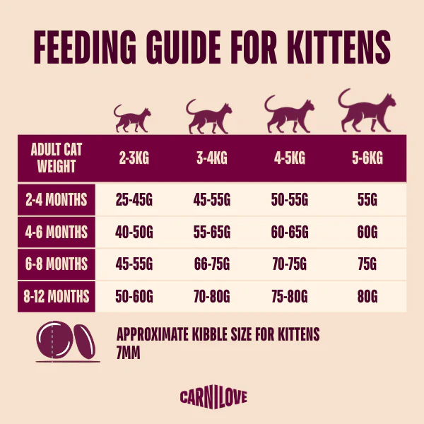 Carnilove Active Kitten Dry Cat Food - Salmon & Turkey - Image 5