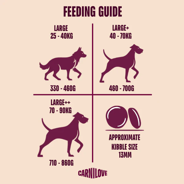 Carnilove Active Large Breed Adult Dry Dog Food - Salmon & Turkey - Image 5