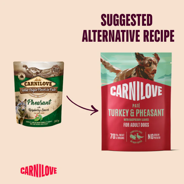 Carnilove Adult Wet Dog Food Pouches - Turkey & Pheasant with Raspberry Leaves - 12x300g Pouches - Image 2