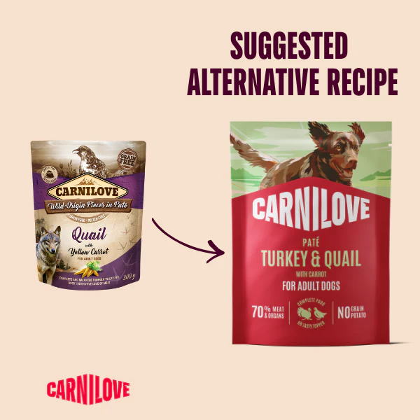 Carnilove Adult Wet Dog Food Pouches - Turkey & Quail with Yellow Carrot - 12x300g - Image 2