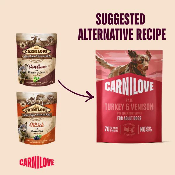 Carnilove Adult Wet Dog Food Pouches - Turkey & Venison with Strawberry Leaves - 12x300g Pouches - Image 2