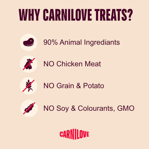 Carnilove Adult Jerky Dog Treats - Beef Fillets - 100g - Image 3