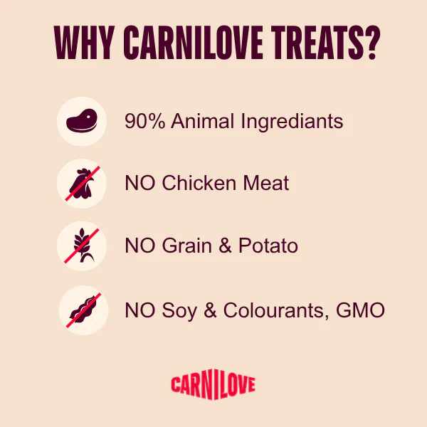 Carnilove Grain Free Meat Jerky for Adult Dogs - Lamb with Salmon Fillet - 100g - Image 3