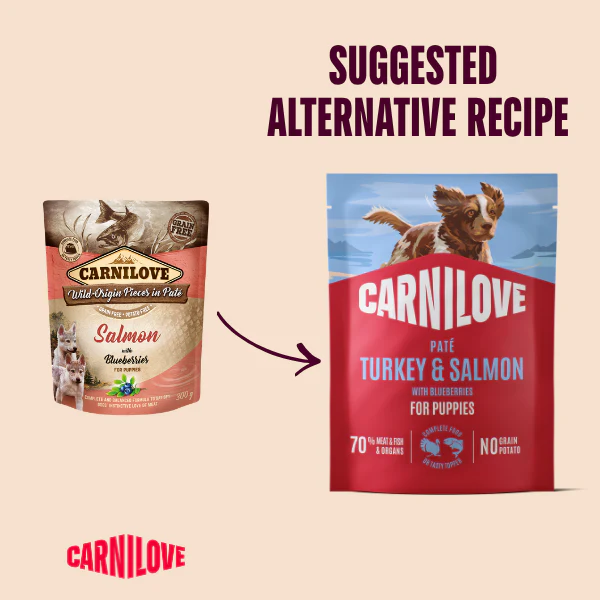 Carnilove Grain Free Puppy Wet Dog Food - Salmon with Blueberries - 12x300g Pouches - Image 2