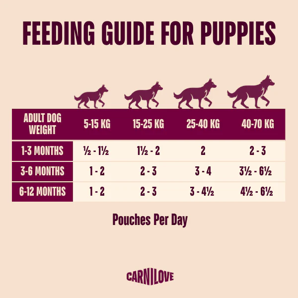 Carnilove Grain Free Puppy Wet Dog Food - Salmon with Blueberries - 12x300g Pouches - Image 6