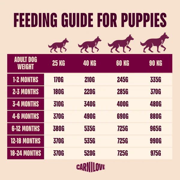 Carnilove Active Large Breed Junior Dry Dog Food - Salmon & Turkey - Image 5