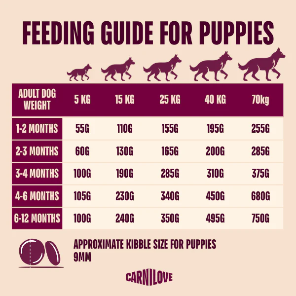 Carnilove Active Puppy Dry Dog Food - Salmon & Turkey - Image 5