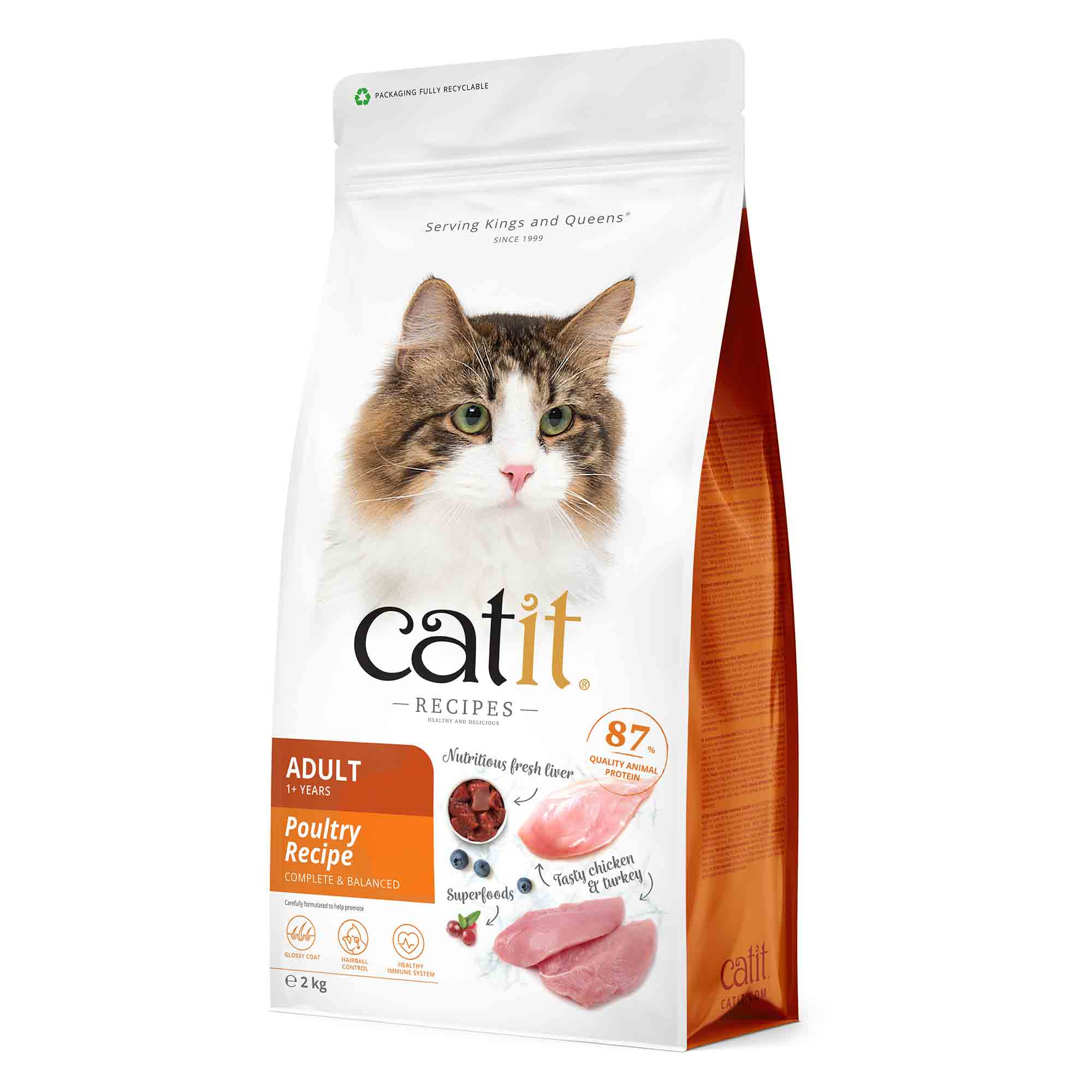 Catit Recipes Adult Dry Cat Food - Poultry Recipe - Image 2