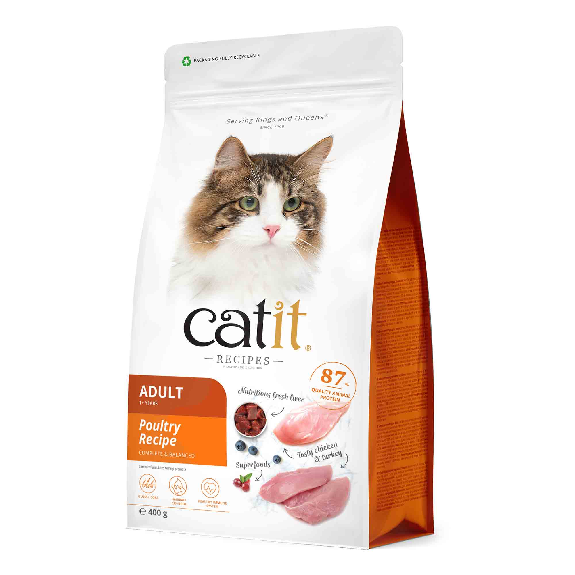 Catit Recipes Adult Dry Cat Food - Poultry Recipe - 400g - Image 2