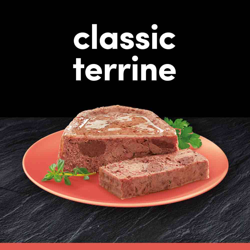 CESAR Classics Terrine Mixed Selection Trays - 24x150g Trays - Image 2
