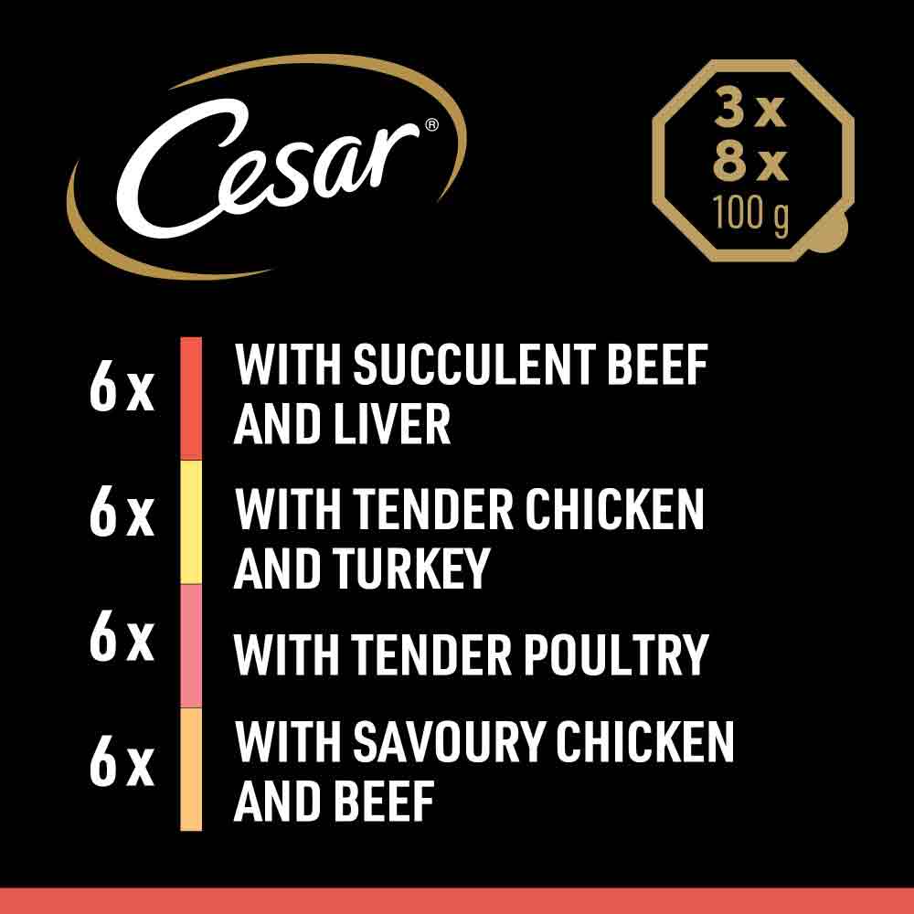 CESAR Classics Terrine Mixed Selection Trays - 24x150g Trays - Image 3